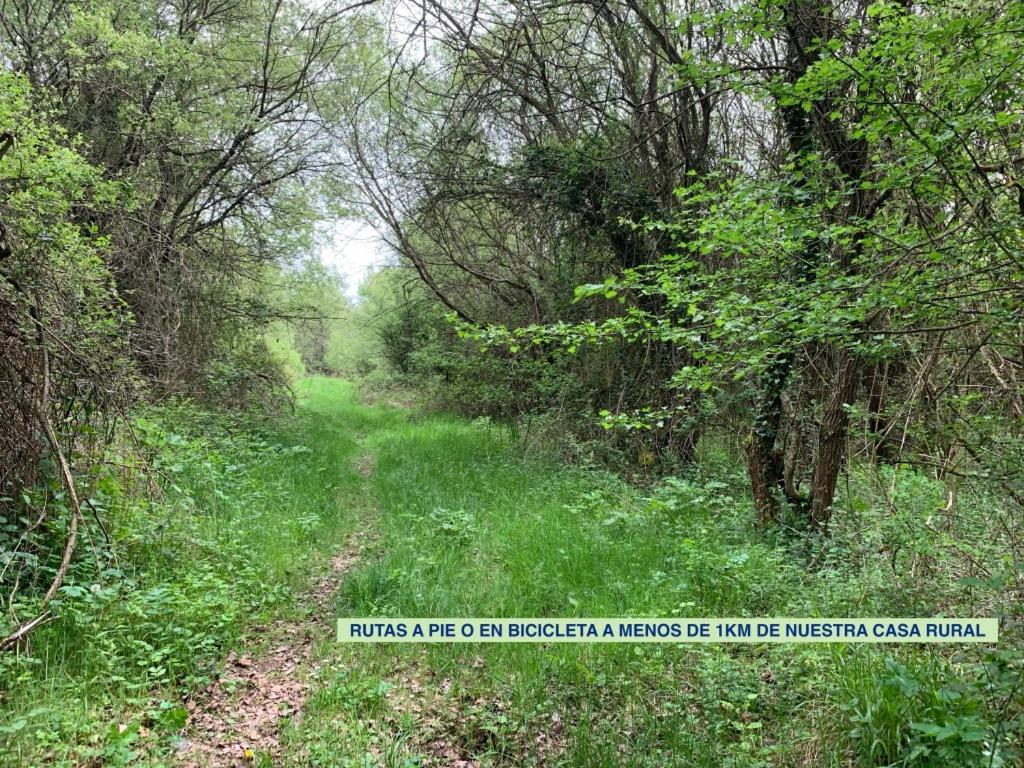 לינה וארוחת בוקר Ibeas de Juarros La Cabala De Ibeas מראה חיצוני תמונה