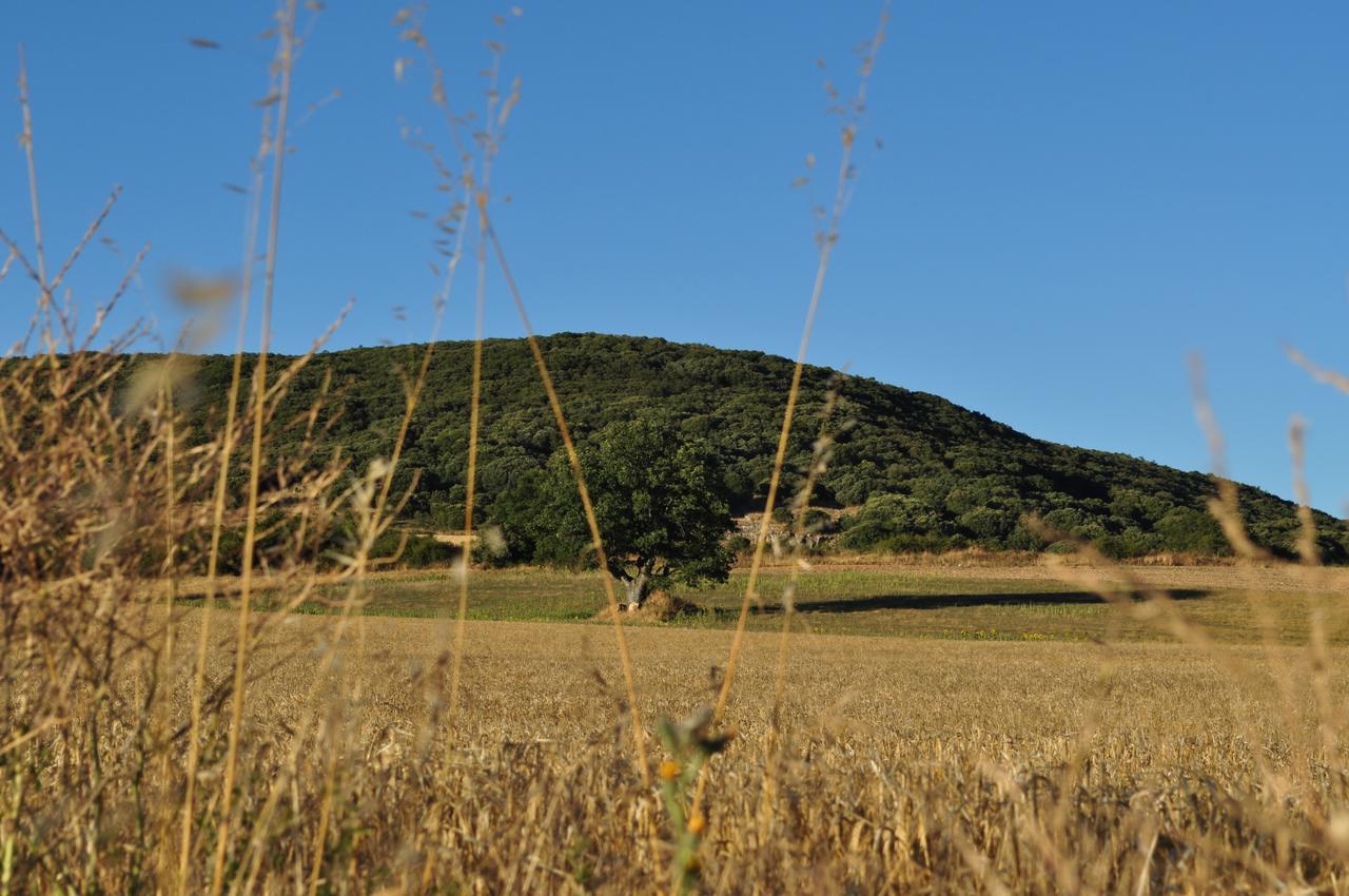 לינה וארוחת בוקר Ibeas de Juarros La Cabala De Ibeas מראה חיצוני תמונה